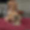 BrazzersExxtra.com - 19.09.18 - Abella Danger - Lights Cockcam Action