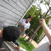 Mana_Sakura_2012-09_[Juicy_Honey]_Cover_Girl_UP thumbnail