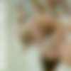 MormonGirlz_SiteRip/Alison_ Family Breeding _ Mormon Girls