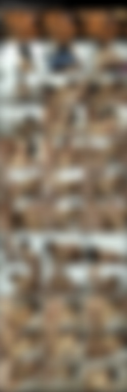 Creampie Squad - Andrea Kelly/Andrea Kelly.jpeg