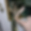 trueamateurmodels part-10/lydia-02/2000watermarked