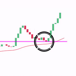 Wysetrade Trading Masterclass XVII