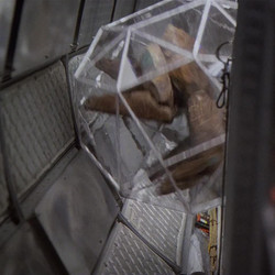 Project.Hail.Mary.2026.1080p.Webrip.Multi.Line.Audio.x264-SyncUP