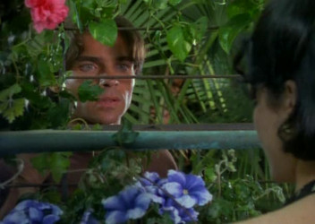 Hot Line DVDRip/31 The Gardener.avi