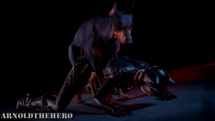ArnoldtheheroS/Animations/2017/Catwoman dog.webm