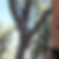 [XvideosRED-NadeNasty] Slut Hunt Ep.3 Natalie Gets Tied Up & Penetrated [1080p].mp4