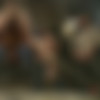 Gay